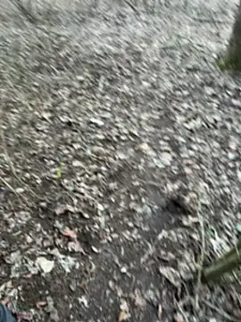 Aronn4 online show from 3, 2, 2025