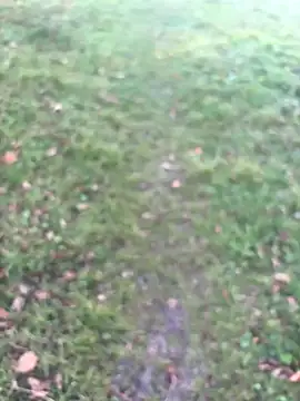 Aronn4 online show from 22, 10, 2025