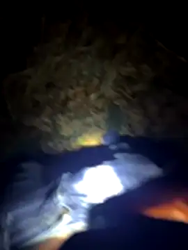 Germanboyy91 online show from 22, 12, 2025