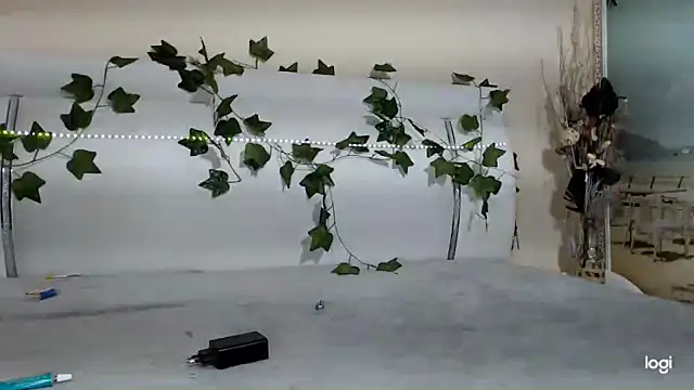 Bigboobs6930 online show from 9, 2, 2026