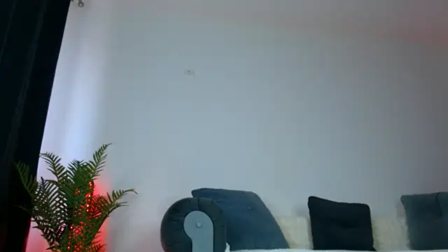 arianatattoos online show from 27, 5, 2026