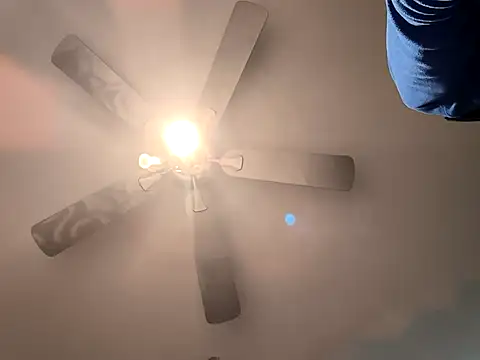 fransexdol online show from 26, 2, 2025