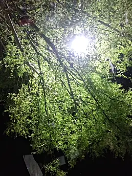 Hotbodyscottie online show from 22, 3, 2026