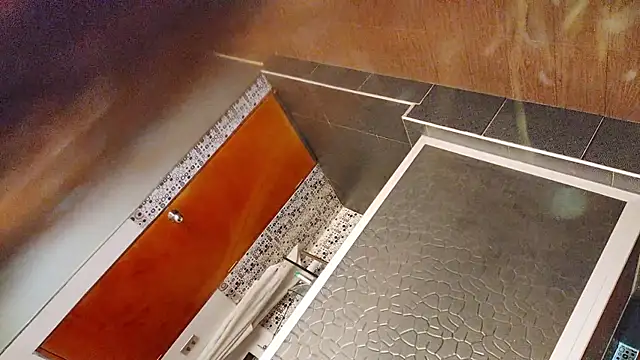 Alaia sam online show from 7, 11, 2025