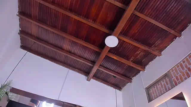 emily-fox online show from 19, 3, 2026