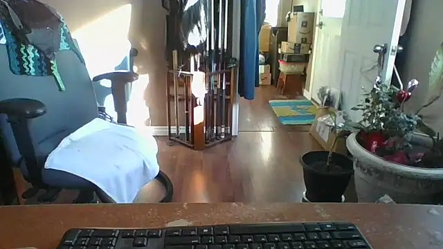 Daremeknot online show from 10, 3, 2025