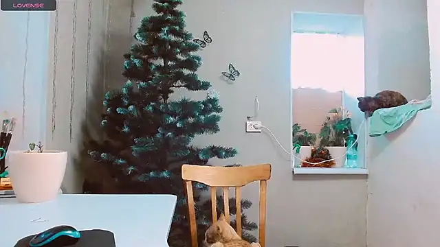 RosaJil online show from 13, 12, 2024