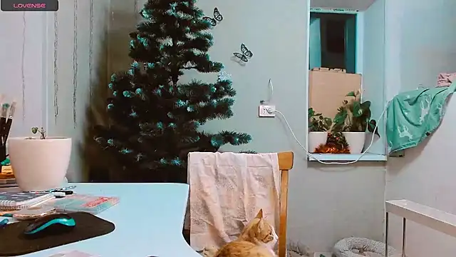 RosaJil online show from 17, 12, 2024