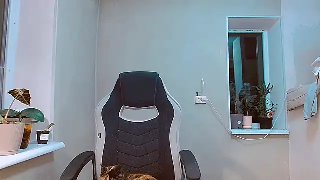 RosaJil online show from 9, 11, 2025