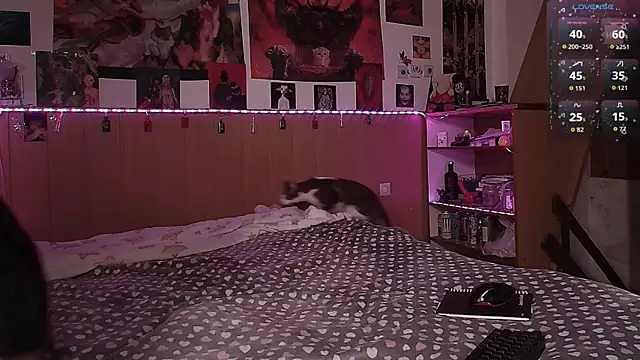 Hanako Jentoru online show from 7, 2, 2026