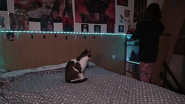 Hanako Jentoru online show from 9, 2, 2026