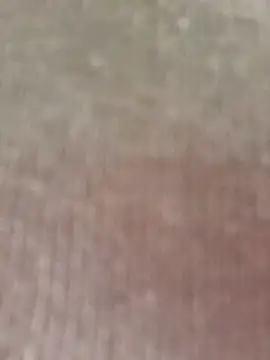 seherlatin online show from 7, 2, 2026