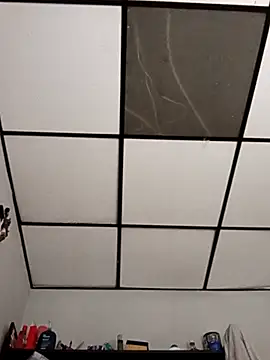 stefanie010 online show from 1, 3, 2026