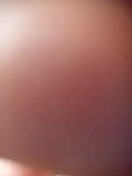 poloplayer123 online show from 13, 2, 2026