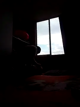 Cameron puppy online show from 15, 11, 2025