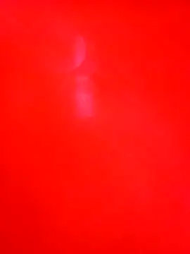 Cameron puppy online show from 1, 12, 2025