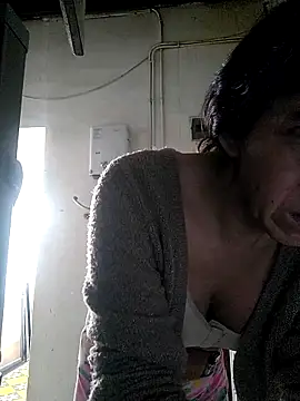 Cameron puppy online show from 5, 3, 2026