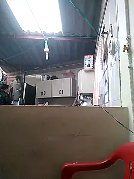 Cameron puppy online show from 16, 3, 2026