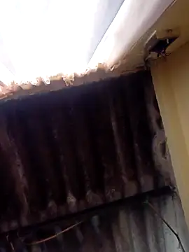 Snapshot of dantero chatting on 27, 2, 2025 dantero online show from 27, 2, 2025