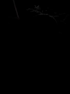 donkeyCOCC online show from 4, 10, 2025