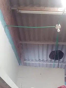 mailo bronw online show from 30, 3, 2026