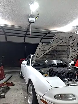 John19893 online show from 14, 2, 2025