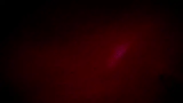 scarlet-kennedy98 online show from 8, 1, 2026