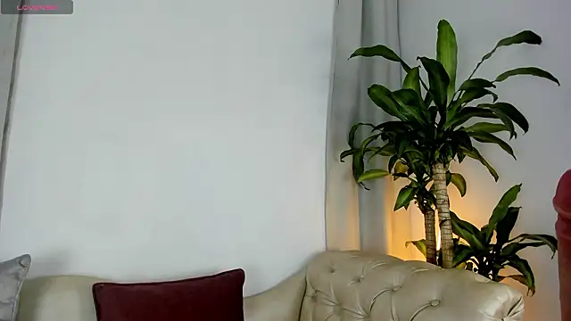 Jentokio online show from 11, 2, 2026