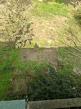 Snapshot of lund_lol chatting on 24, 2, 2025 lund lol online show from 24, 2, 2025