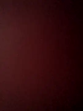 Treemandude online show from 25, 10, 2025