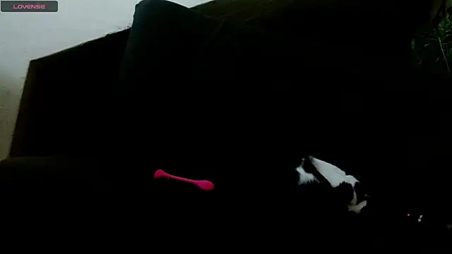 Snapshot of lady_scarlettt chatting on 18, 2, 2025 lady scarlettt online show from 18, 2, 2025