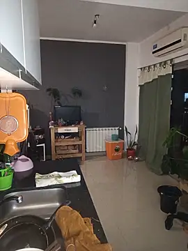 stupid babybird online show from 25, 5, 2026