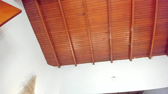 Snapshot of sofhiaa_adaams chatting on 15, 11, 2025 sofhiaa adaams online show from 15, 11, 2025