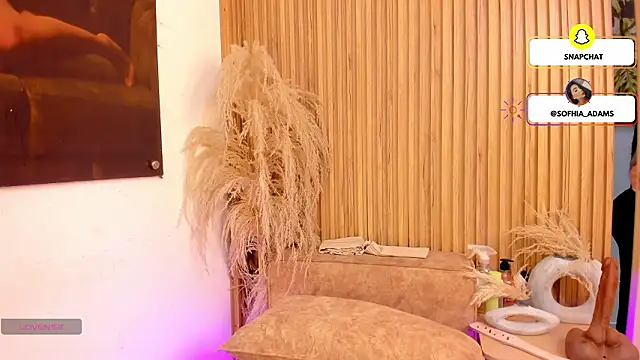 sofhiaa adaams online show from 25, 2, 2026