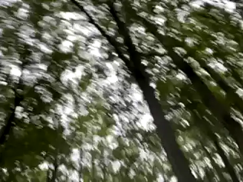 Snapshot of lookin4excitement23 chatting on 10, 9, 2025 lookin4excitement23 online show from 10, 9, 2025