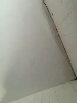 elninoblacko online show from 8, 2, 2026