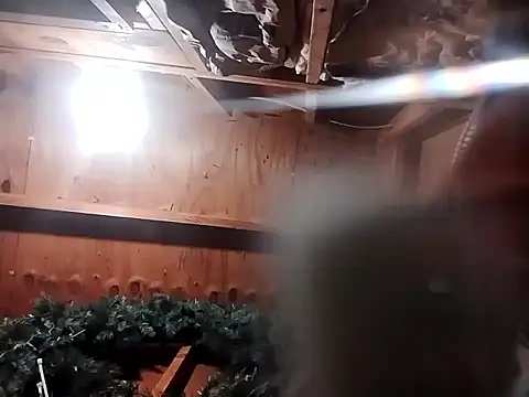 Babyboyy803 online show from 9, 11, 2025