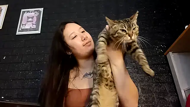 Japabaixinha online show from 18, 11, 2025