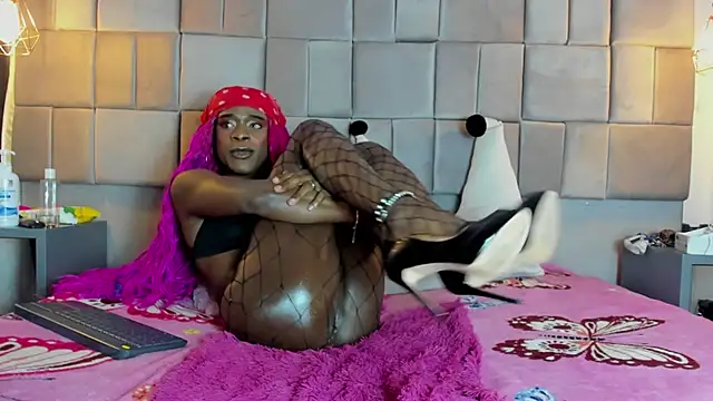 puca ebony online show from 8, 3, 2025