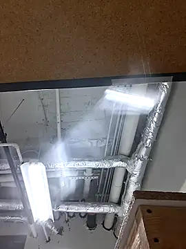 playtyme420691 online show from 24, 11, 2025