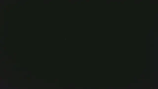 EXOTICLEXXXI online show from 6, 3, 2026