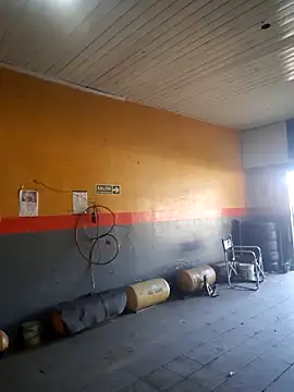 hecwil8 online show from 13, 2, 2026