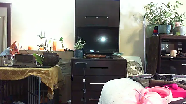 Snapshot of CeceilaMoon chatting on 14, 7, 2026 CeceilaMoon online show from 14, 7, 2026
