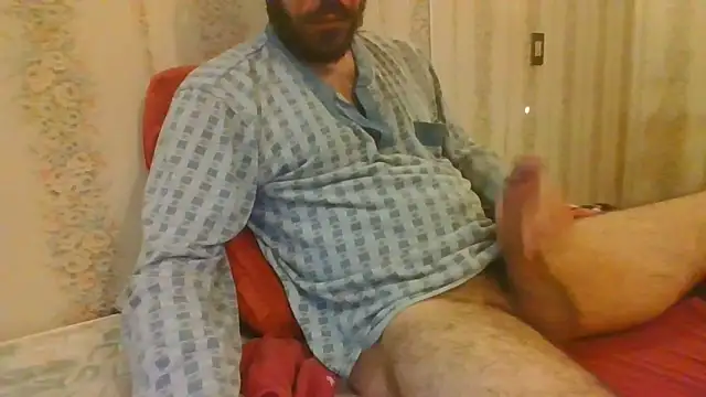 tozebrito hd online show from 29, 10, 2025