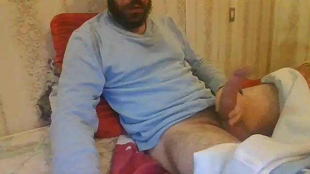 tozebrito hd online show from 16, 11, 2025