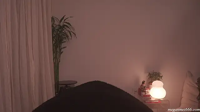 meganmei666 online show from 21, 4, 2026