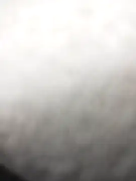 Emily Wane online show from 12, 3, 2026