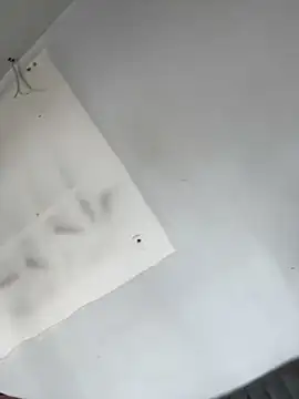 AnaRuiz online show from 22, 11, 2025