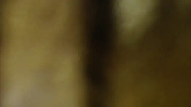 Sophia your online show from 27, 3, 2026