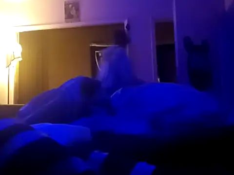 Blkstylion online show from 6, 4, 2026